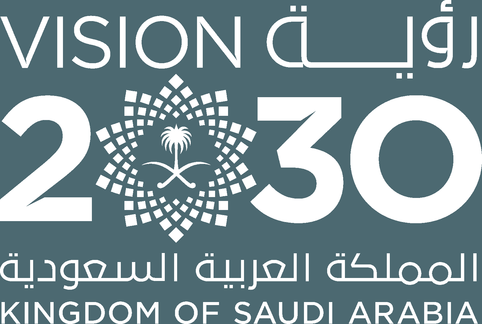 Vision 2030
