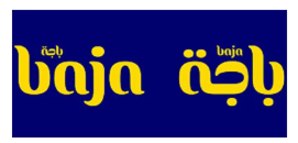 شعار عميل FIRST CODE 17